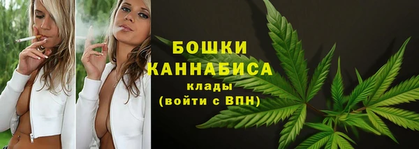 амф Магас