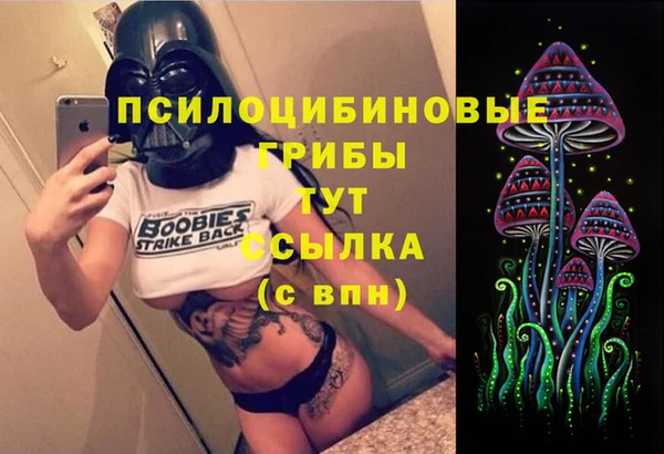 амф Магас