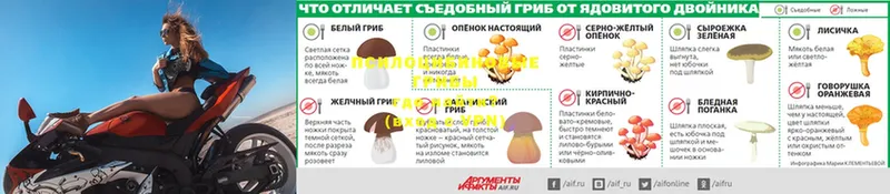 Галлюциногенные грибы мицелий Кострома