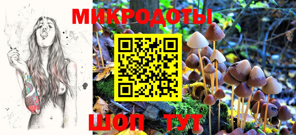 Псилоцибиновые грибы Psilocybine cubensis Кострома